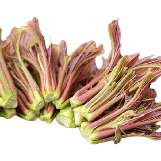 衡东县香椿芽菜