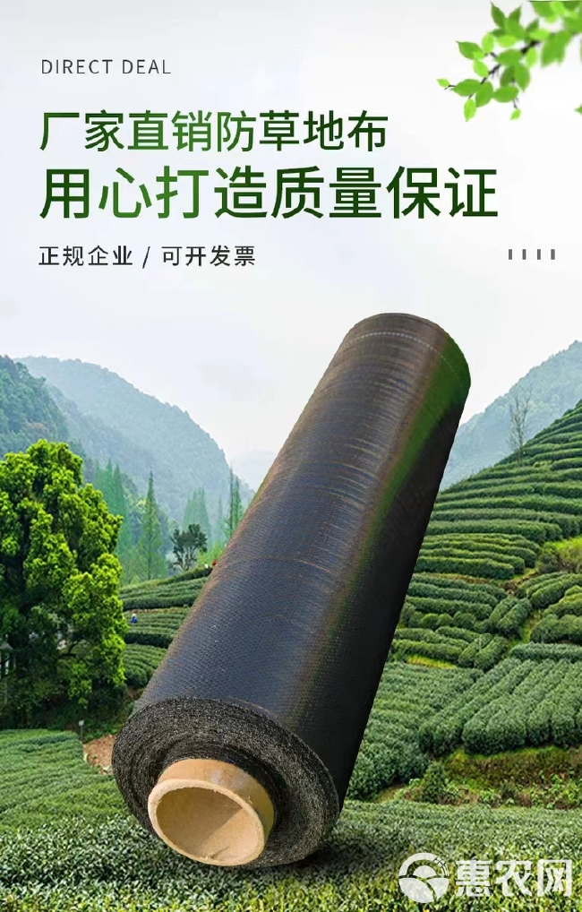 果园防草布园艺大棚除草布除草垫农用抑草布抗老化防草地布盖草布