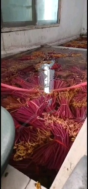 龙里县大量供应，清水泡蕨菜半成品