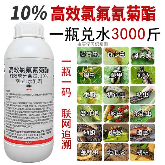 郑州10%高效氯氟氰菊脂吊丝虫棉铃虫菜青虫蚜虫果树蔬菜农药杀虫剂