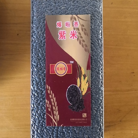 滨海县紫米