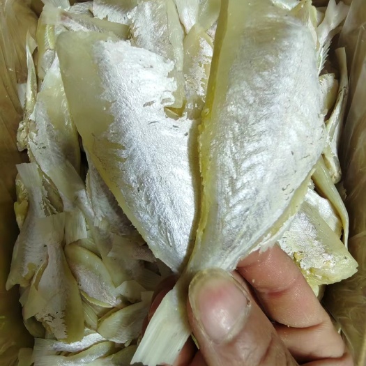 北海目鱼干 扒皮鱼