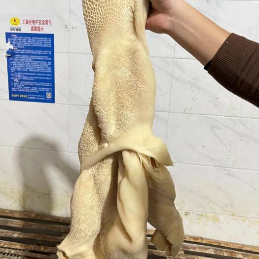中牟县全熟牛肚 水煮纯干