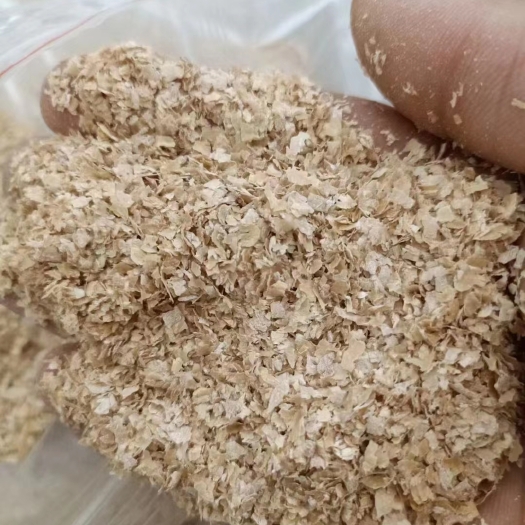 正定县饲料麸皮