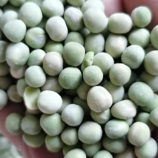 广饶县绿豌豆（复水豆）