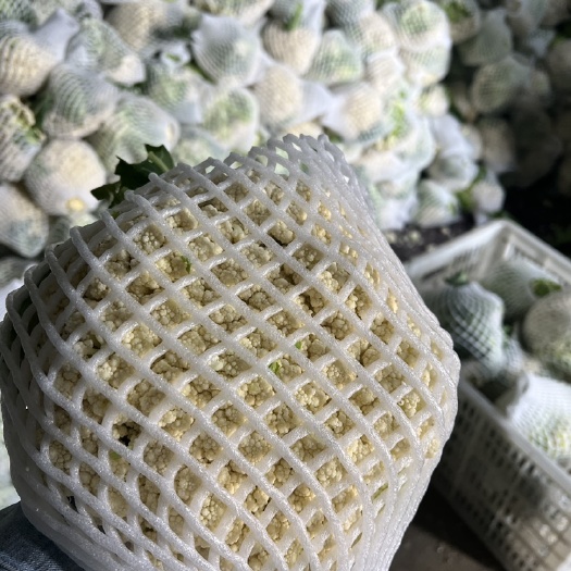 徐州白面花菜