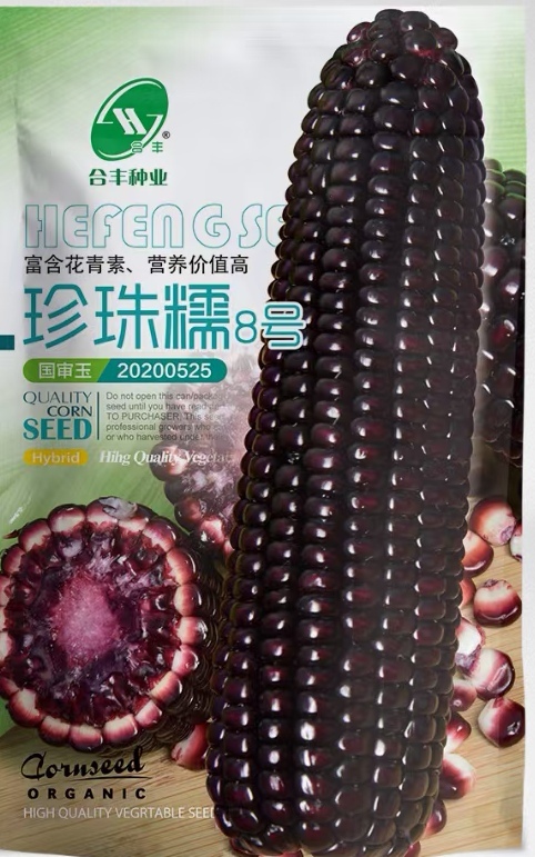 黑玉米种子  紫香糯，软糯香甜，口感好吃