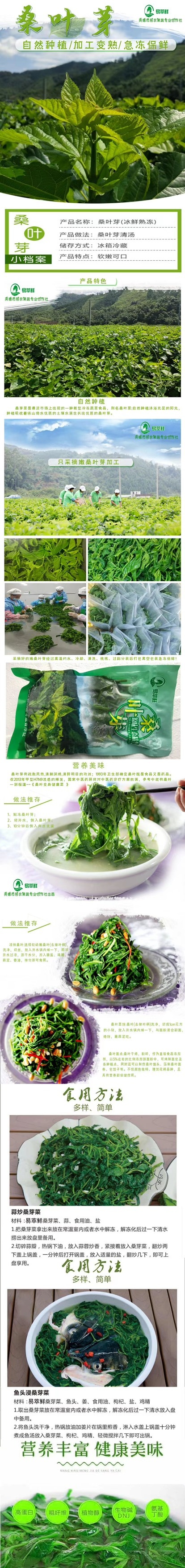 桑芽