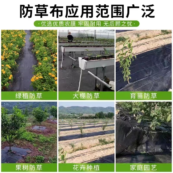 果园防草布园艺大棚除草布除草垫农用抑草布抗老化防草地布盖草布