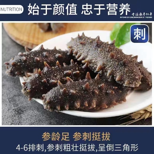 霞浦县辽参鲜食海参即食鲜活辽参海参渄干货礼盒节日送礼礼品代发