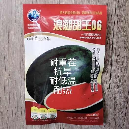 扶沟县浪潮甜王06黑皮甜王种子易管理糖度14.5易座薄皮不空心