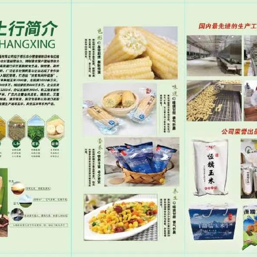 新疆博州温泉县糯玉米（常温真空包装）