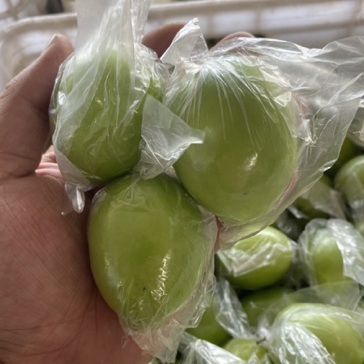 广西平南县牛奶蜜丝枣大量上市欢迎咨询