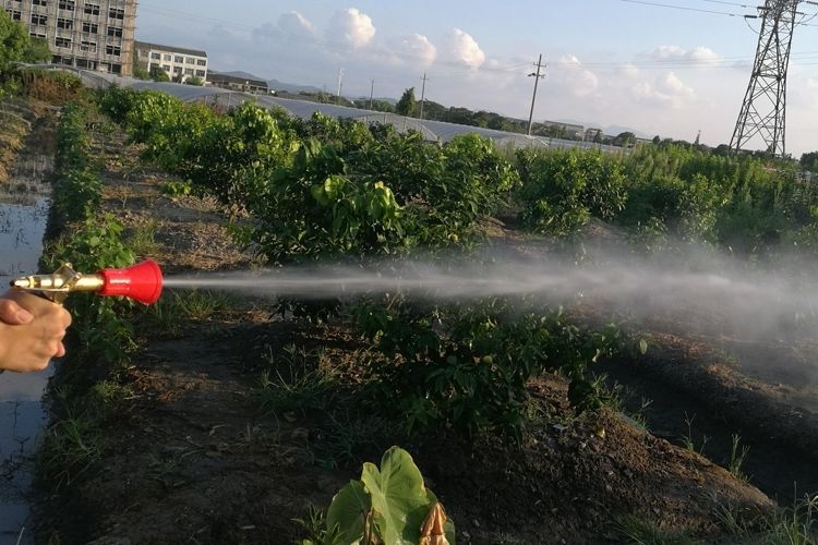 噴霧器 高壓噴霧槍果樹園林打藥機(jī)可調(diào)霧化手壓槍水槍