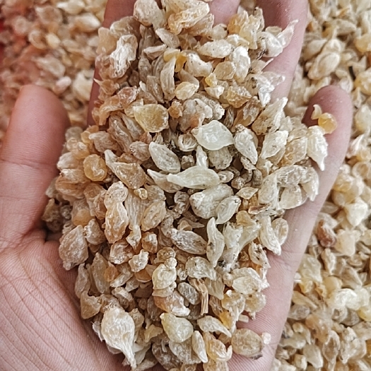 亳州薤白 涨价了  一把米货   选货