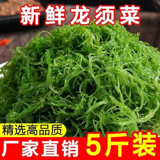 盐渍龙须菜海藻海草厂家批发