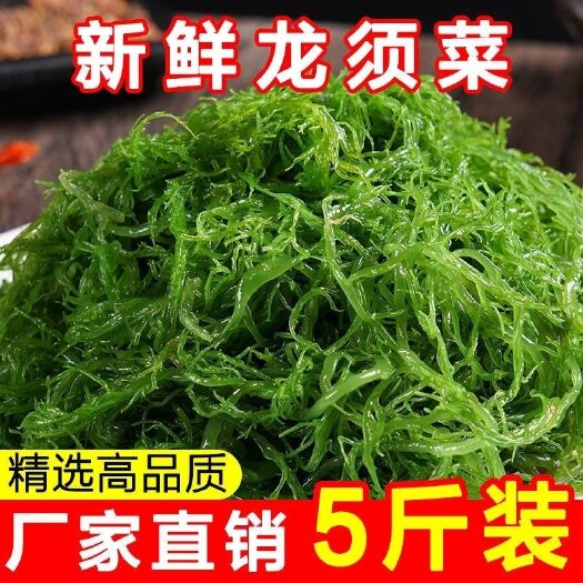 霞浦县盐渍龙须菜海藻海草厂家批发