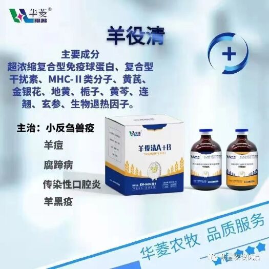 郑州羊役清大便干结不吃食流口水口舌生疮发烧泄火