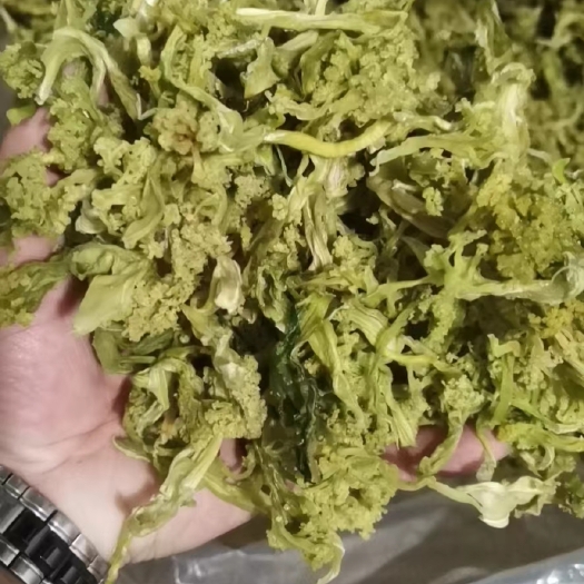 邳州市干花菜  好二级花菜干，脱水花菜干，上市中