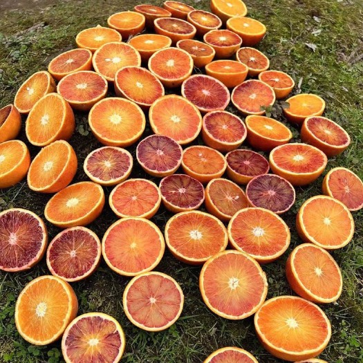 血色好，味道不错，很甜，基本上不酸