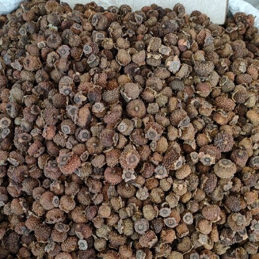 玉林刺梨