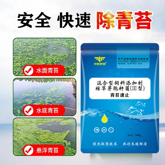 武陟县虾饲料 池塘青苔怎么处理 青苔速止生物青苔净水产养殖除绿藻