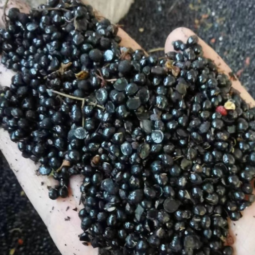 正定县花椒籽