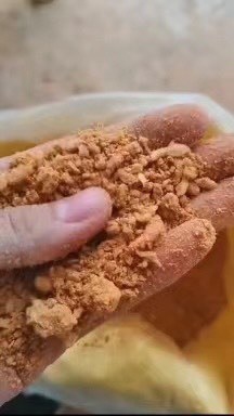 石家庄肯德基油渣，育肥好饲料，高蛋白，高脂肪，欢迎各位老板免费咨询