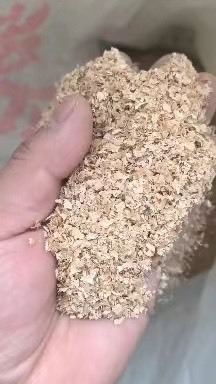 石家庄麦麸，各大原厂麦麸，价格高低都有。常年有活，欢迎各位老板咨询