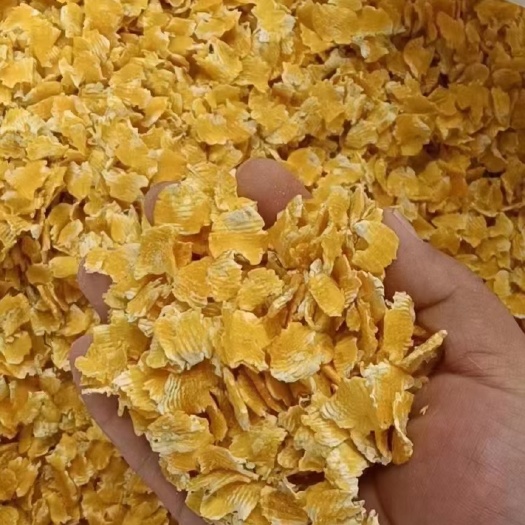 平山县压片玉米