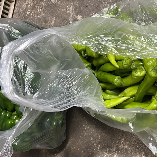 漳州彩椒青椒