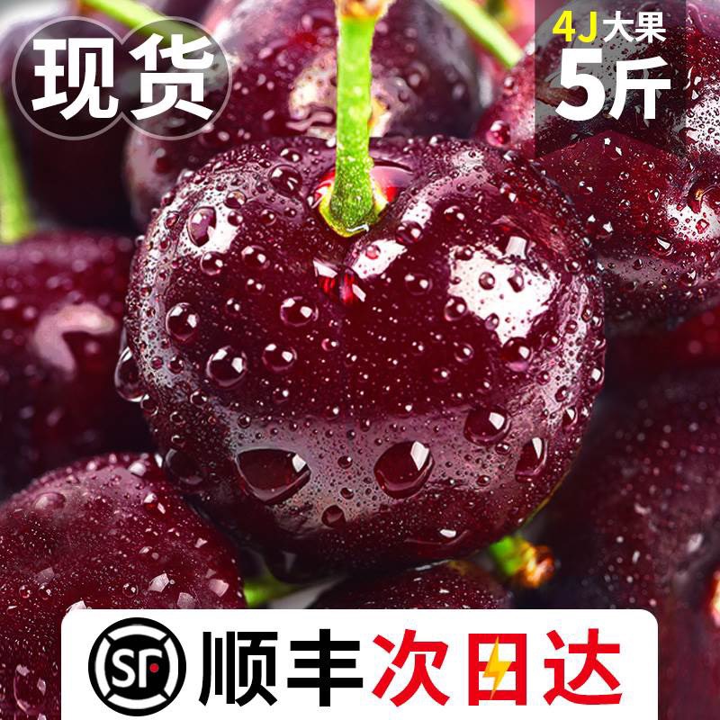 上海【一件代发】车厘子新鲜水果大连美早樱桃5斤整箱大果
