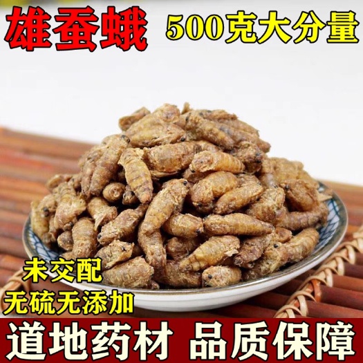 蚕蛹  雄蚕蛾  正品选个 可泡酒 药用 公蚕蛾 男性滋补