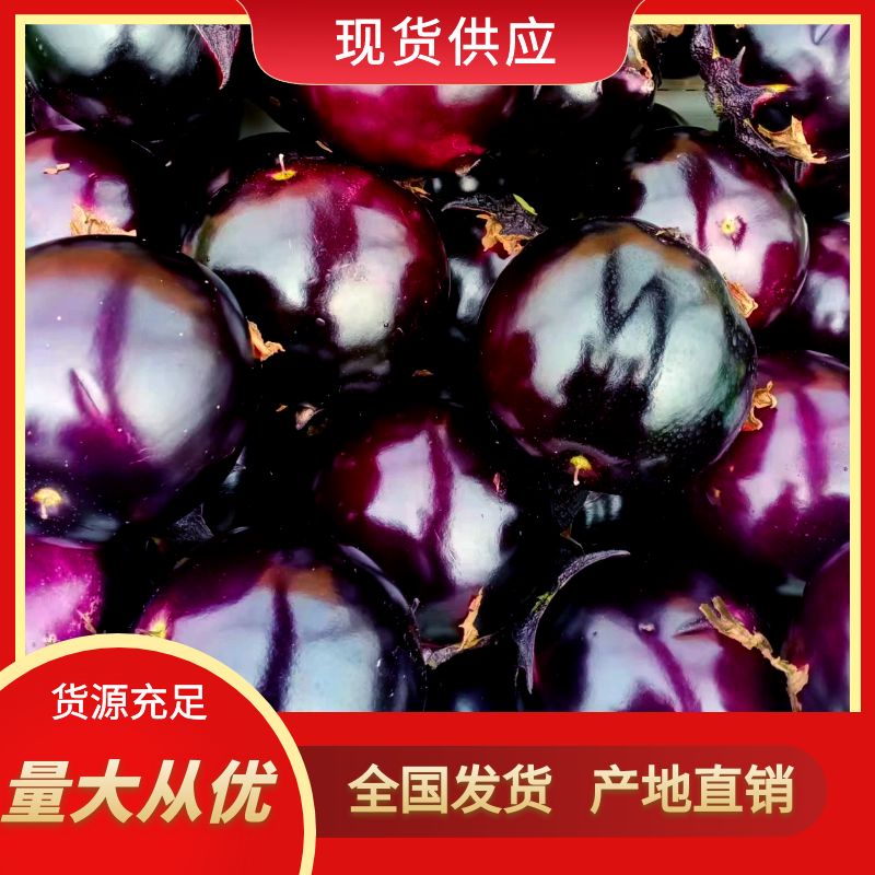 莘县春达果蔬表色亮丽紫光圆茄