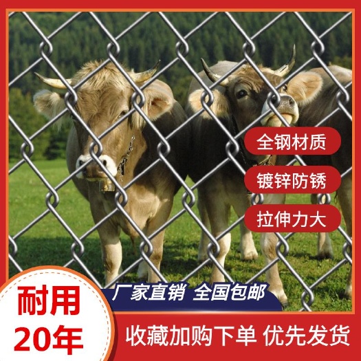 安平县大型户外拼装笼子鸡鸽兔笼狼狗虎师等猛兽防护网动物园监狱防护网
