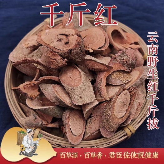 昆明云南千斤拔中药材千斤红 正品红肉千金拔 大叶千斤拔纯根包