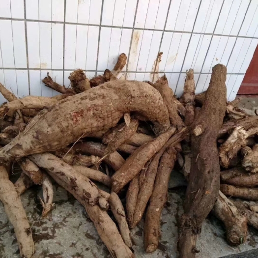 桑植县葛根粉