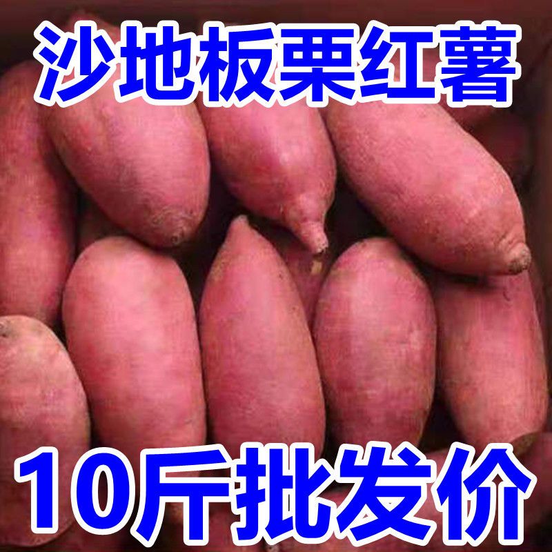 通许县【超低价】板栗红薯新鲜红蜜薯超甜糖心地瓜整箱番薯批发多省包邮