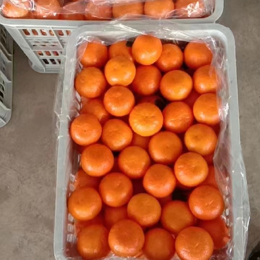 昆明冰糖橙电商货，电商一件代发，市场整车市场货