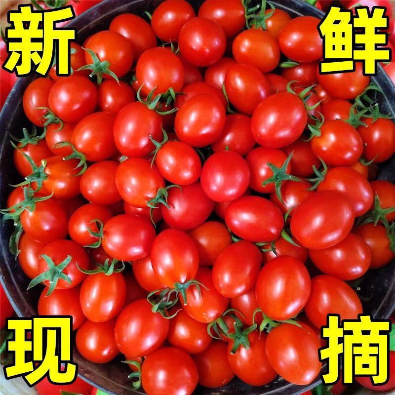 无锡圣女果新鲜超甜小番茄千禧果水果蔬菜当季整箱西红柿生吃春桃