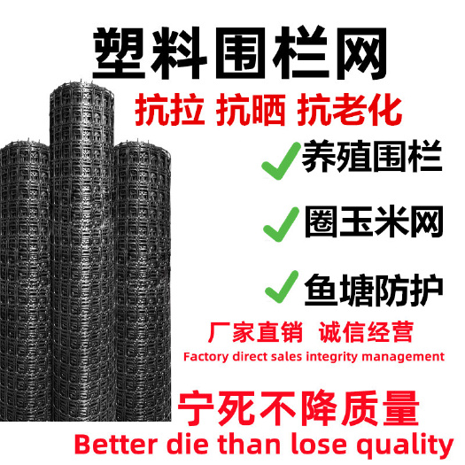 长沙土工格栅塑料平网养殖网围栏网户外养鸡网隔离网防护网护栏网