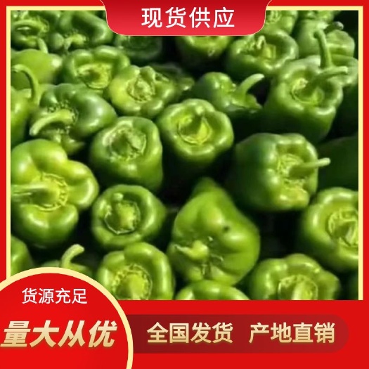 春达果蔬薄皮精品圆椒