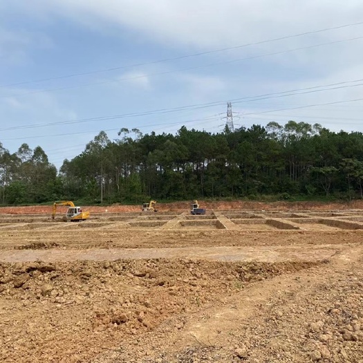 广州新场环溪牛蛙养殖场