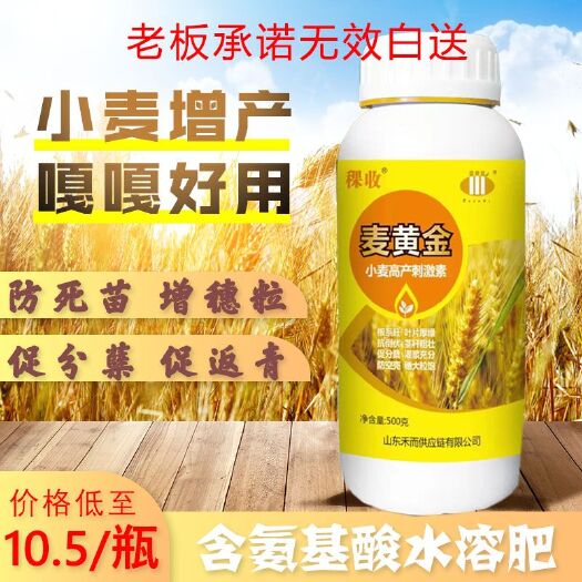 曹县麦黄金水溶肥 小麦专用叶面肥专用肥增产高产返青分蘖灌浆肥