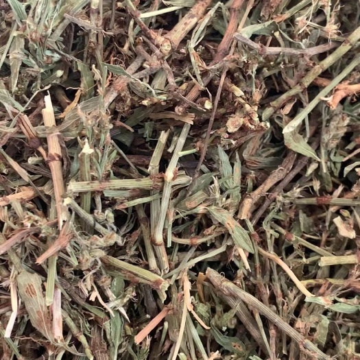 长期供应｛萹蓄草｝可批量可零售量大从优【包邮】