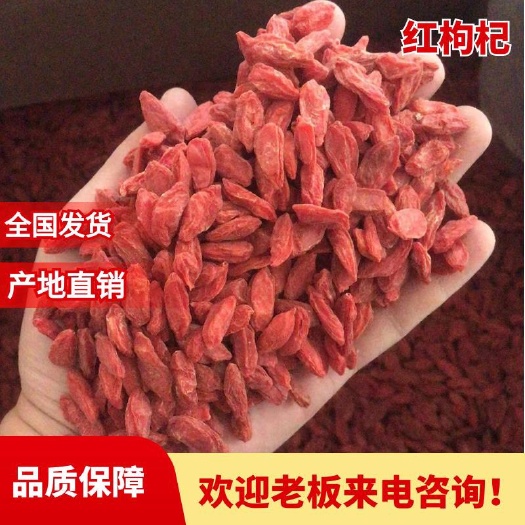宁夏红枸杞  颗粒饱满，干度好，不沾不黏