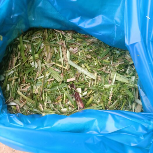 南宁玉米杆，甘蔗尾，麦草