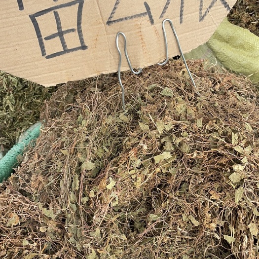 玉林雷公根新货 批发零售中药材 一斤起发 量大从优 一件代发