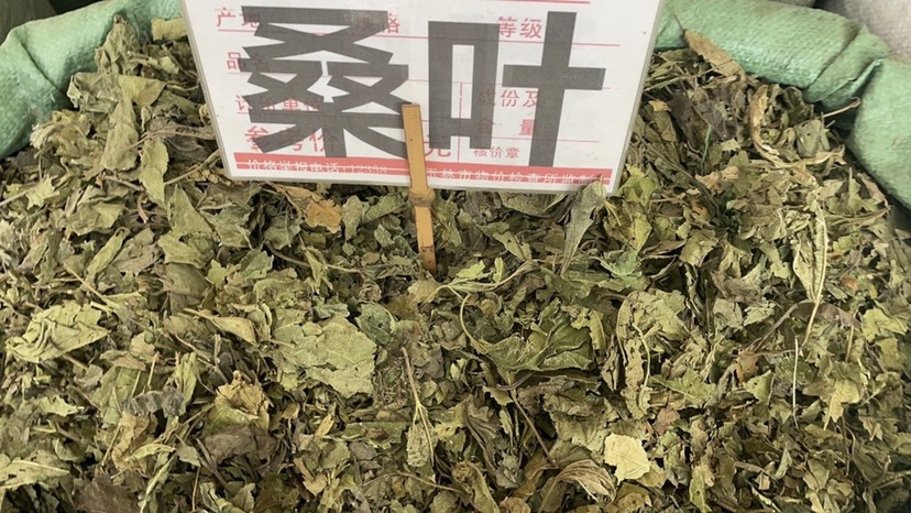 批发零售中药材 桑叶 一斤起发 量大从优 一件代发