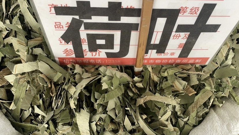 玉林批发零售中药材 荷叶 一斤起发 量大从优 一件代发